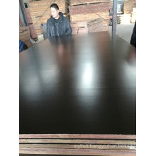 Brown /Black Film Faced Plywood Poplar Core for Construction
